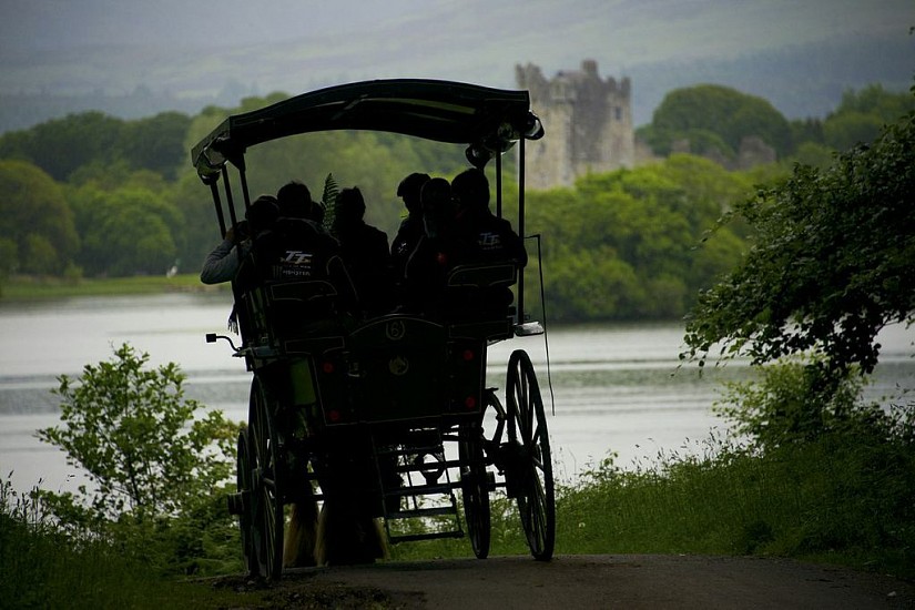 Linda Schaefer, KILLARNEY NATIONAL PARK
Photography, 25 1/2 x 20 in. (64.8 x 50.8 cm)
horse drawn wagon w/ castle in background (framed)
SCL001
$500
Gallery staff will contact you 72 hours after purchase regarding any additional shipping costs.