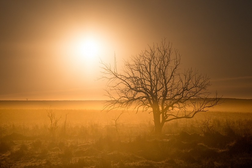 Matt Payne, Misty Sunrise, Osage County, Oklahoma. Edition 2 of 5
Photograph, 16 x 24 in. (40.6 x 61 cm)
PAY0011PH
$475
Gallery staff will contact you 72 hours after purchase regarding any additional shipping costs.